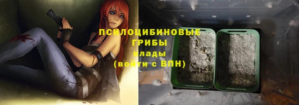крисы Армянск