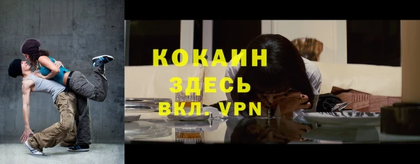 крисы Армянск