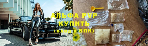 крисы Армянск