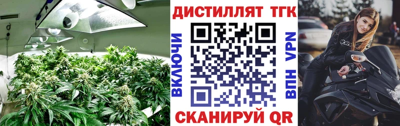 Дистиллят ТГК THC oil Купить Урюпинск