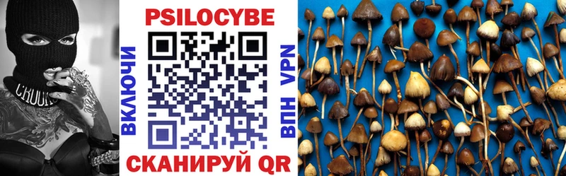 Купить  Урюпинск  Галлюциногенные грибы Magic Shrooms 